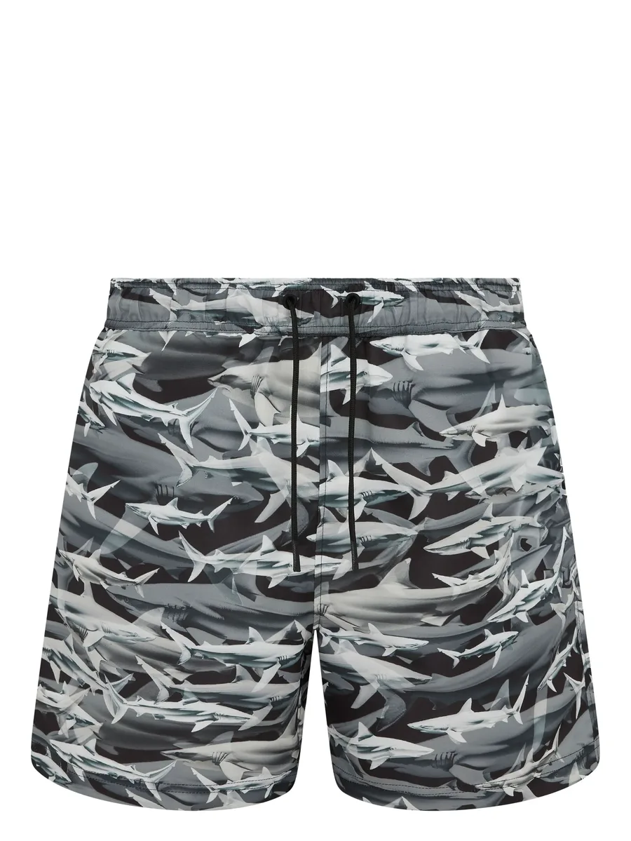 Shark print swim shorts 2