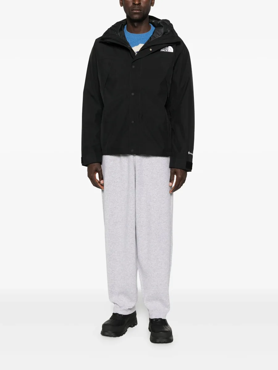 куртка Mountain GORE-TEX 4