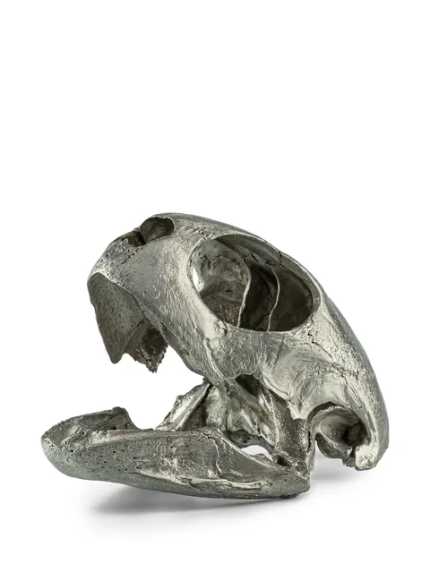 turtle-skull sculpture