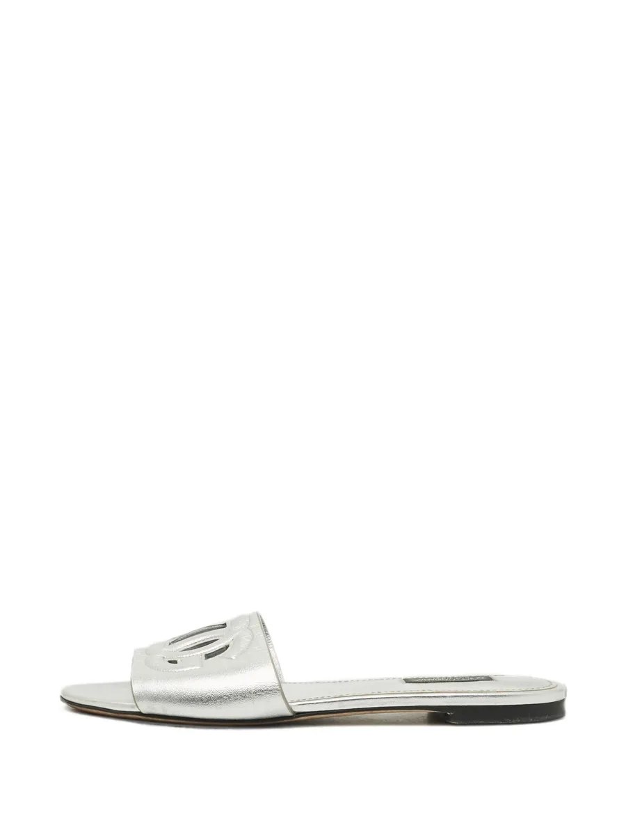 DG Logo slides 1