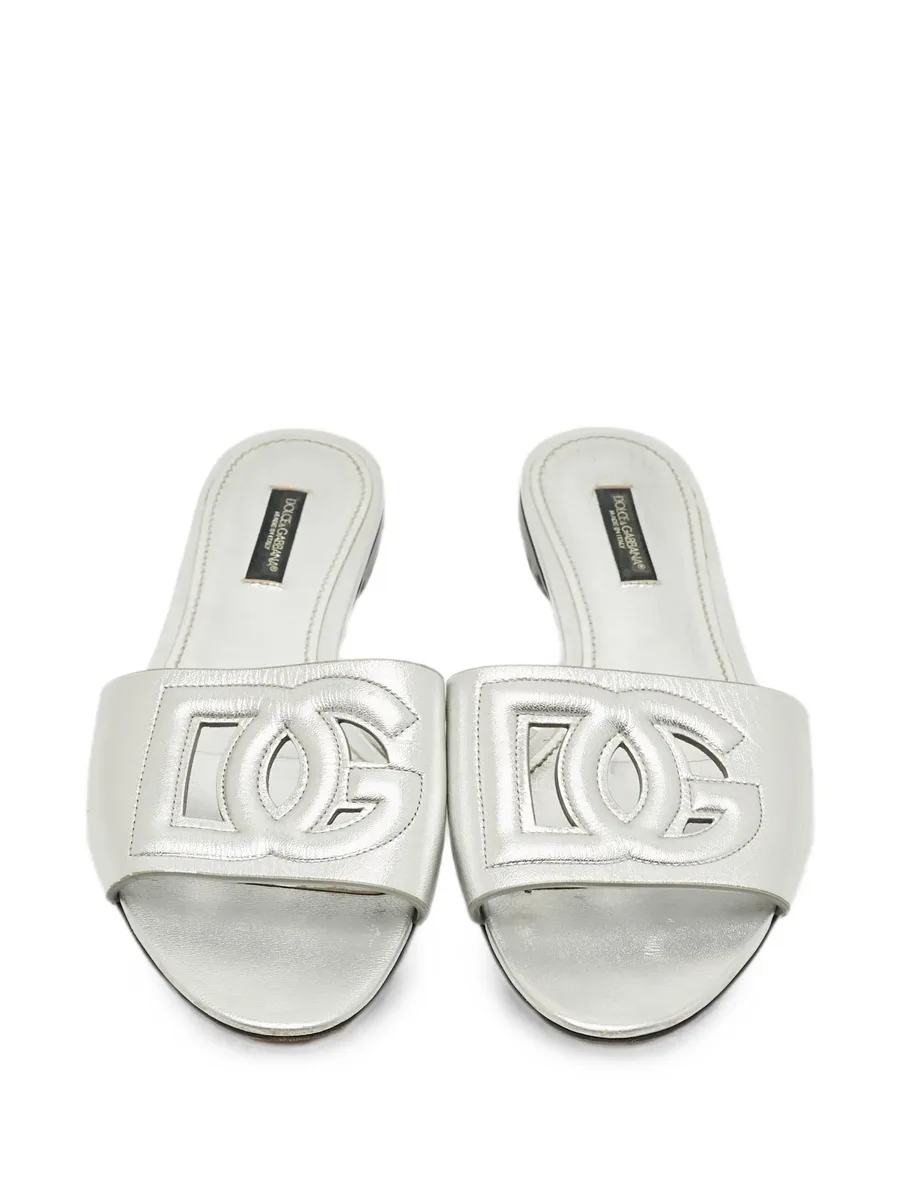 DG Logo slides 10