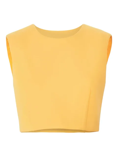 Sleeveless cropped top