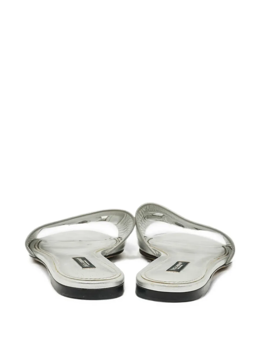 DG Logo slides 8