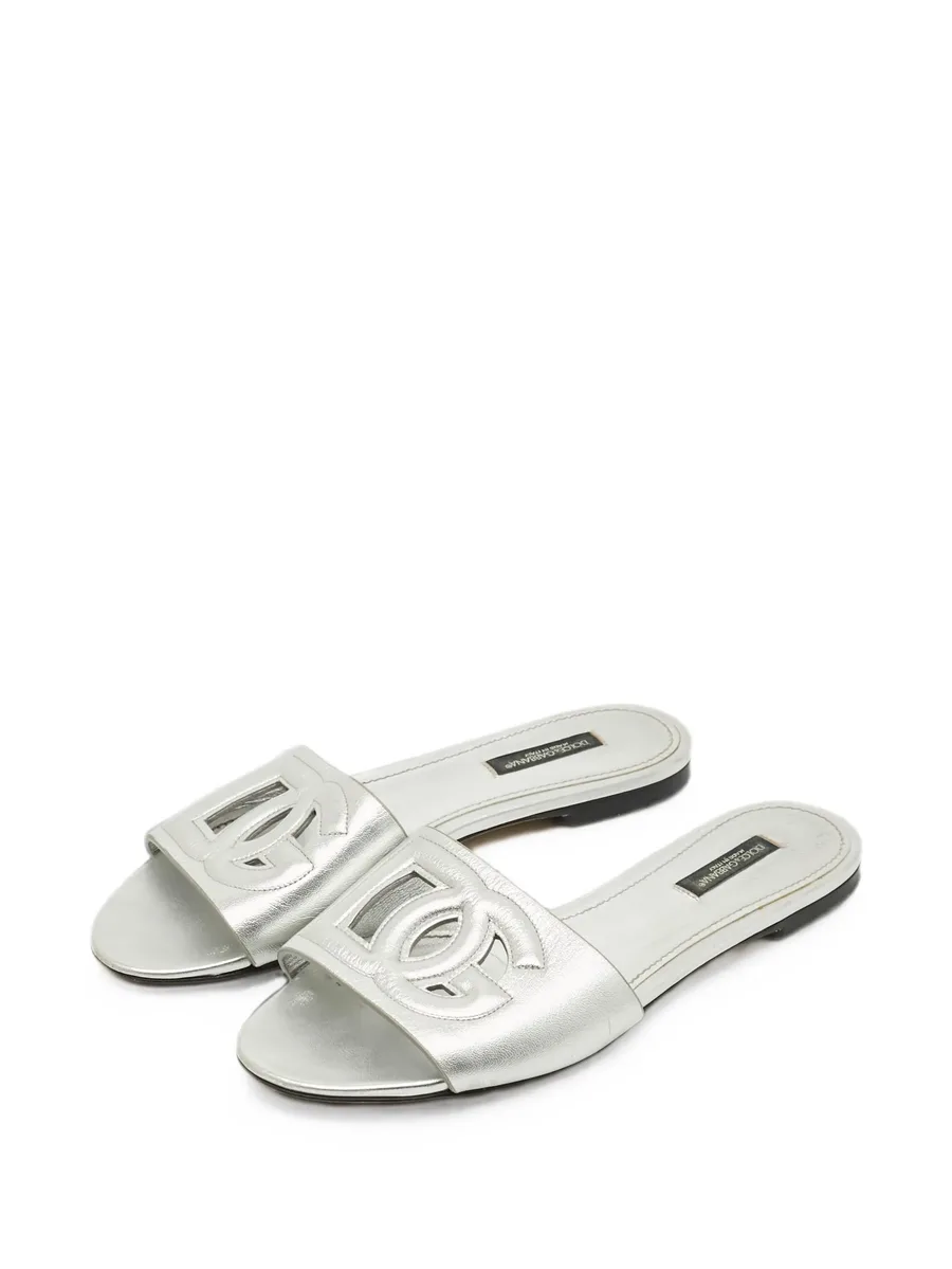 DG Logo slides 3