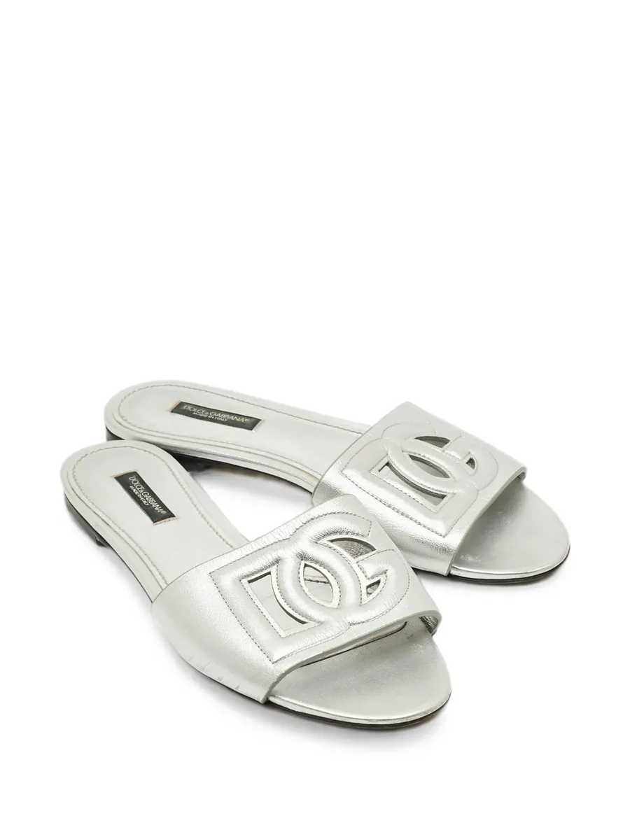 DG Logo slides 5