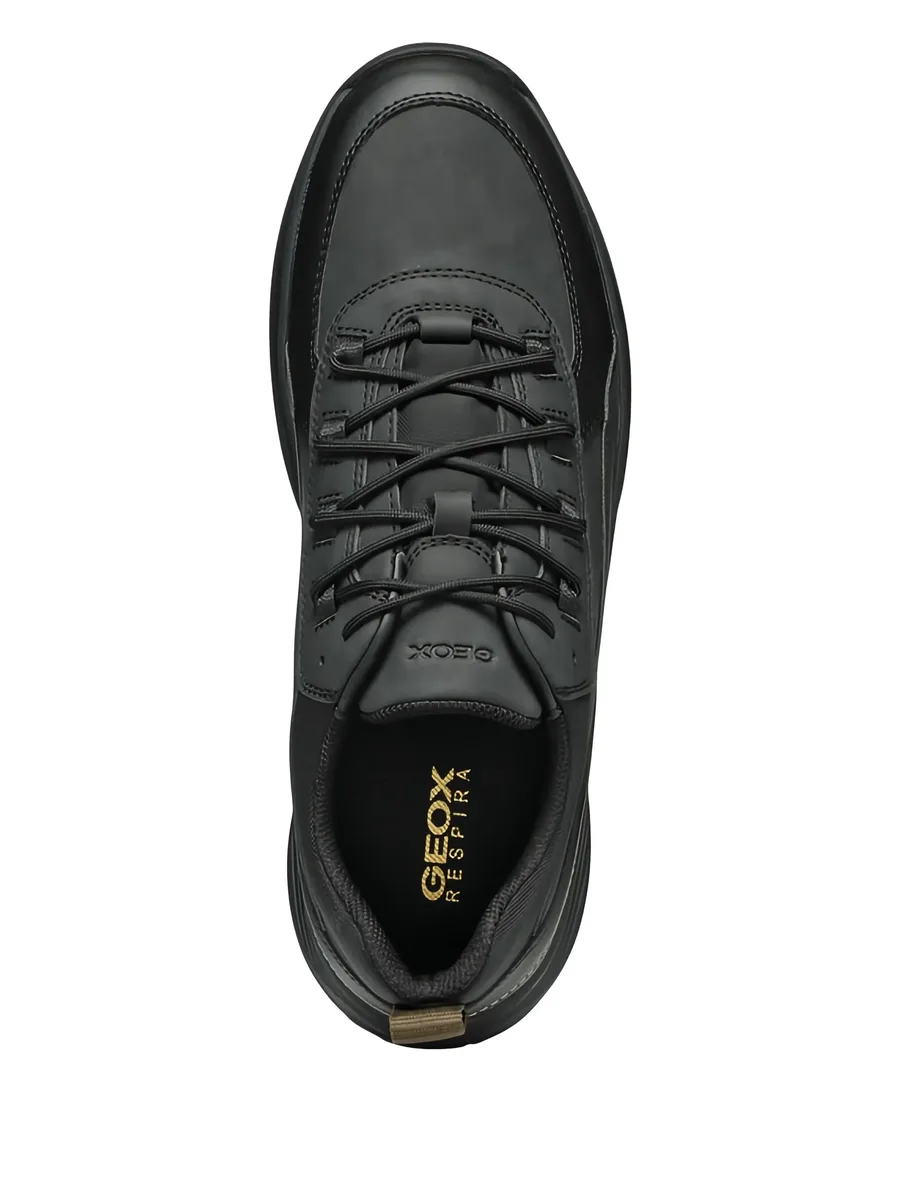 Terrestre leather lace-up sneakers 8