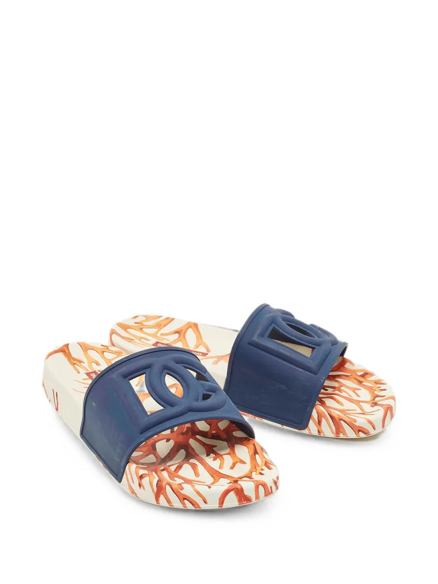 DG Logo slides 10