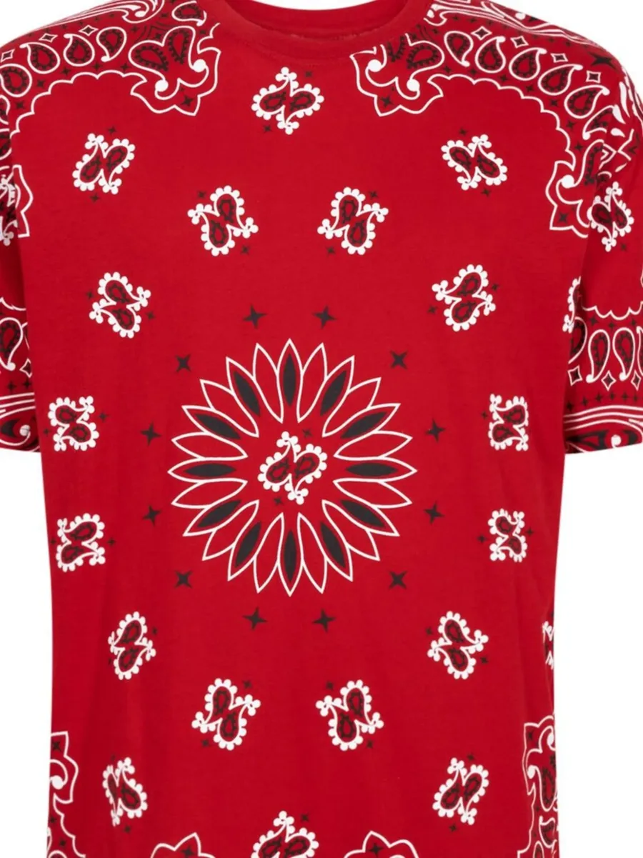x Hanes Bandana Tagless crew neck T-shirt (pack of 2) 6