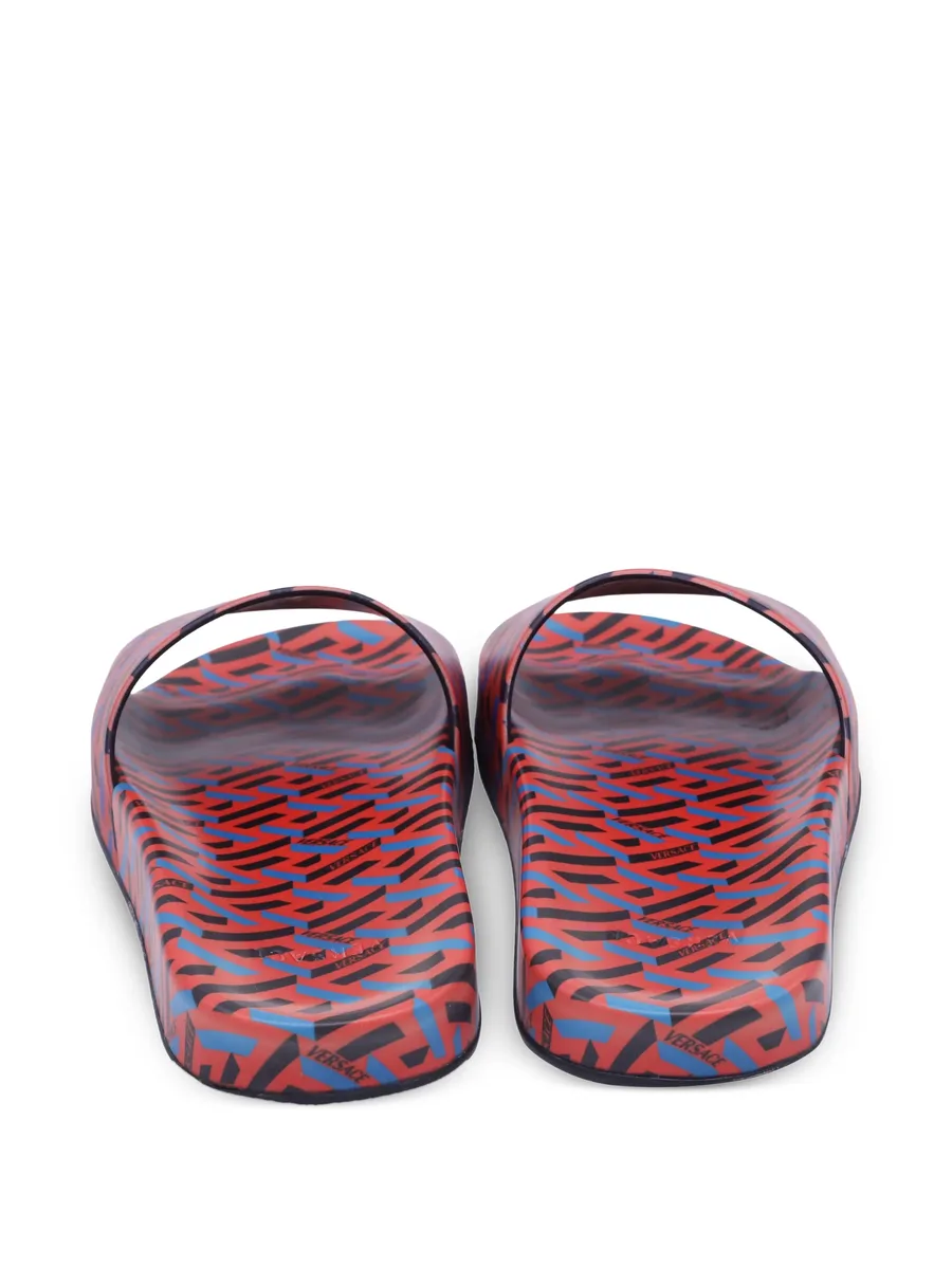printed slides 5